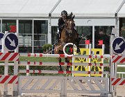 Dalla Mano Ernedelux CsioArJYR SS7 7270 : CSIO Giovani Arezzo, Dalla Mano Maria, Ernedelux, foto Stefano Secchi ©